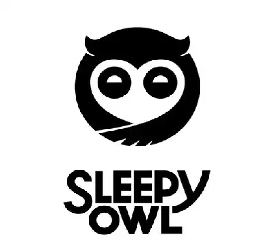 Sleepy Owl